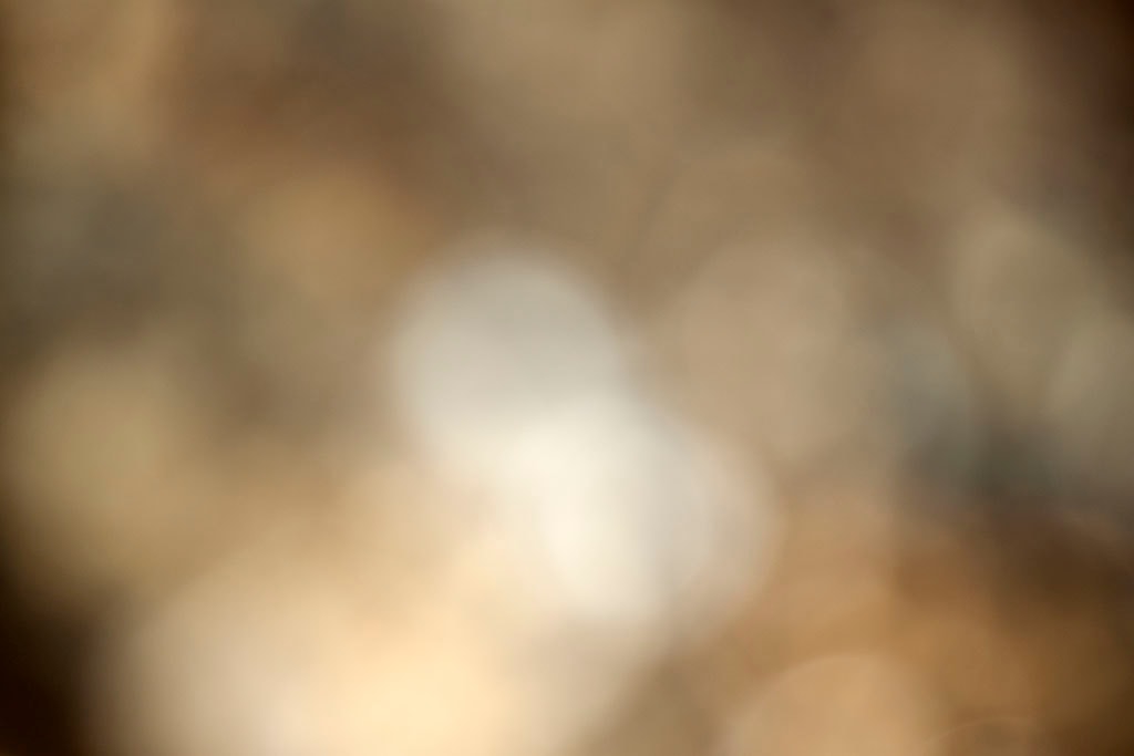 Cascade Springs & Alpine Loop, UT 2016 — warm golden bokeh with soft white glow center