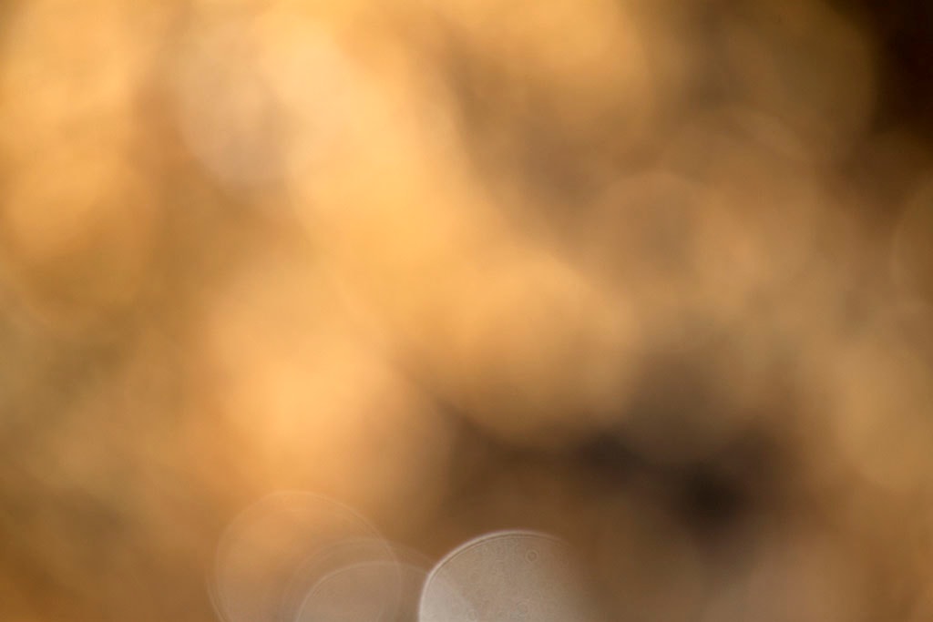 Cascade Springs & Alpine Loop, UT 2016 — warm golden bokeh with soft orbs lower frame