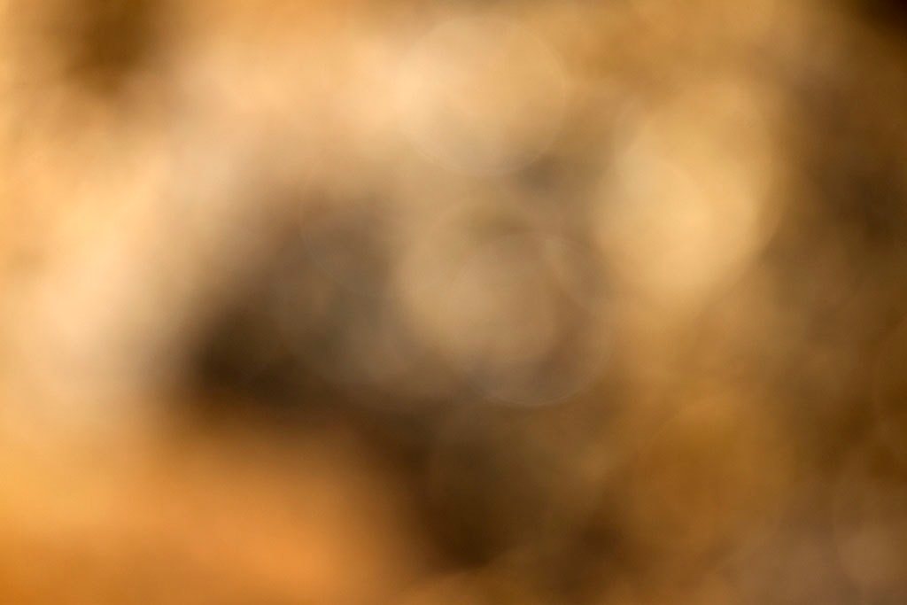 Cascade Springs & Alpine Loop, UT 2016 — warm golden bokeh with diffuse light upper frame