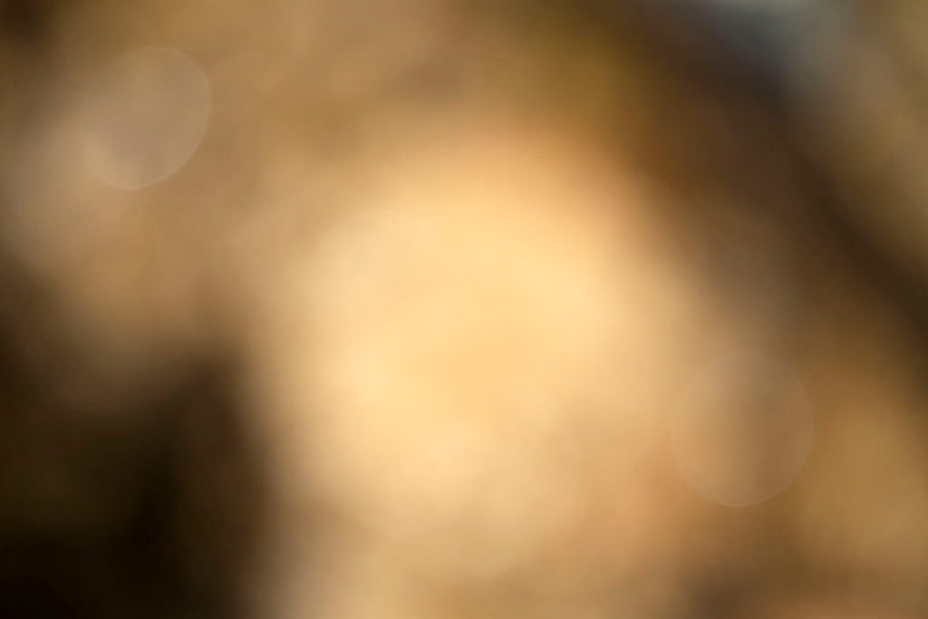 Cascade Springs & Alpine Loop, UT 2016 — warm golden bokeh with large luminous orb center