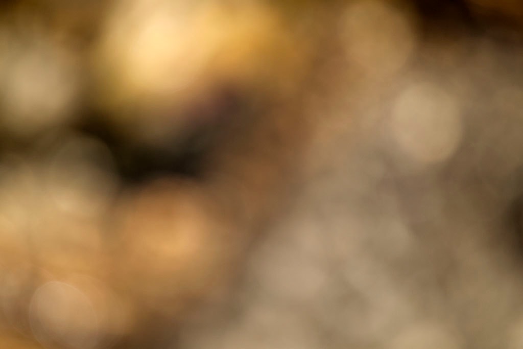 Cascade Springs & Alpine Loop, UT 2016 — warm gold and grey bokeh with scattered orbs