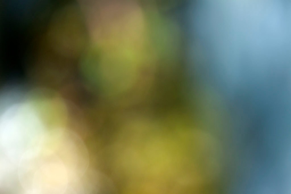 Cascade Springs & Alpine Loop, UT 2016 — warm olive green and cool blue bokeh transition