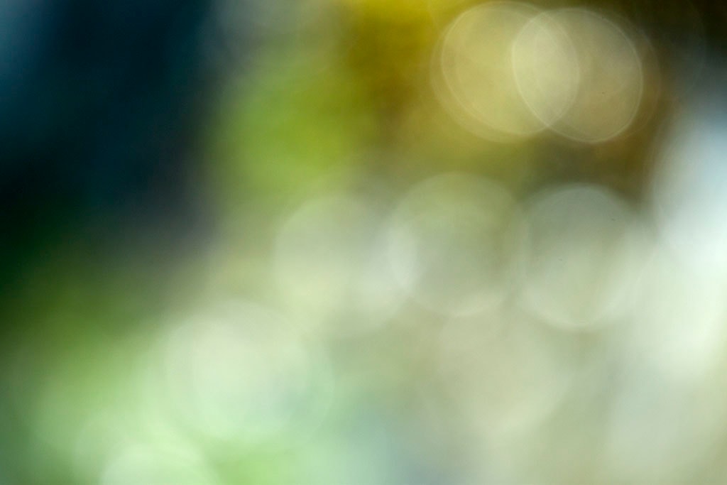 Cascade Springs & Alpine Loop, UT 2016 — green and blue bokeh with warm golden orbs clustered