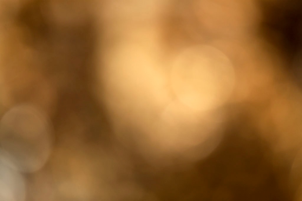 Cascade Springs & Alpine Loop, UT 2016 — warm golden bokeh with soft cream orbs