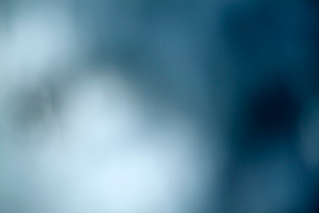 Cascade Springs & Alpine Loop, UT 2016 — cool blue-grey abstract with dark foliage silhouette left