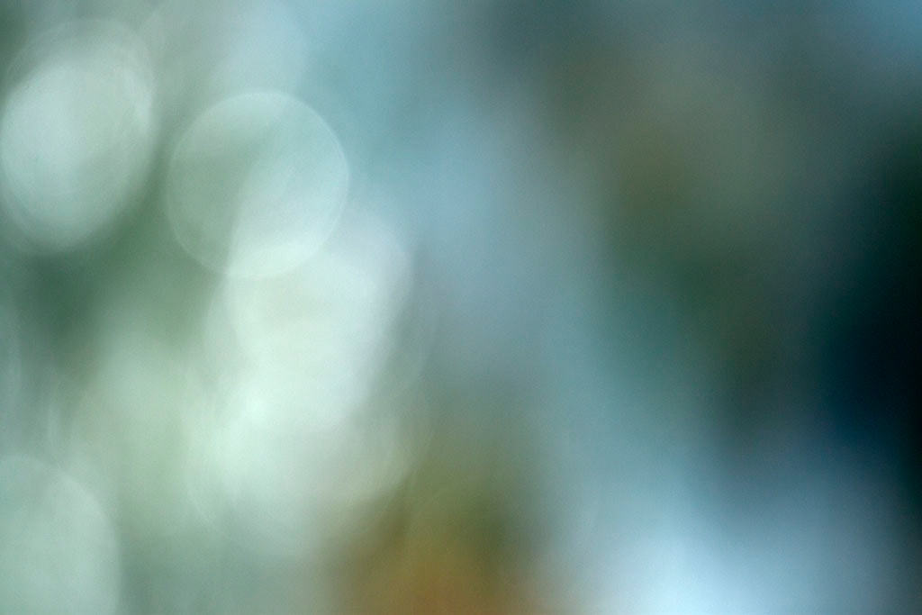Cascade Springs & Alpine Loop, UT 2016 — cool grey-green abstract with white bokeh orbs left and olive right
