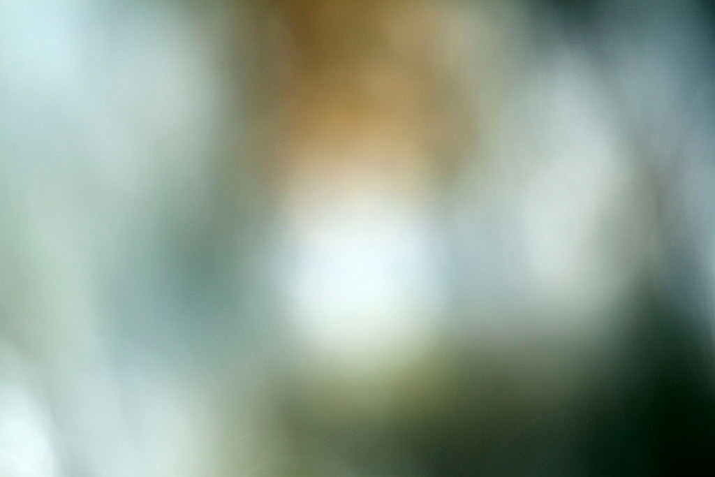 Cascade Springs & Alpine Loop, UT 2016 — soft silver-green abstract with warm golden glow center