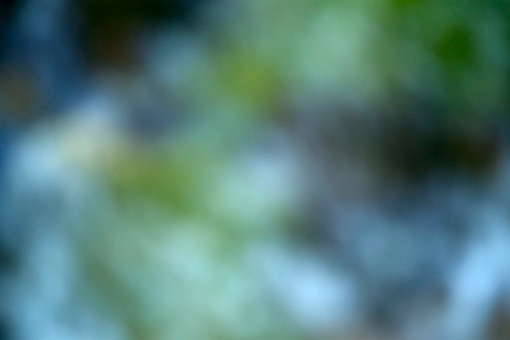Cascade Springs & Alpine Loop, UT 2016 — green and blue bokeh with white orbs and dark foliage