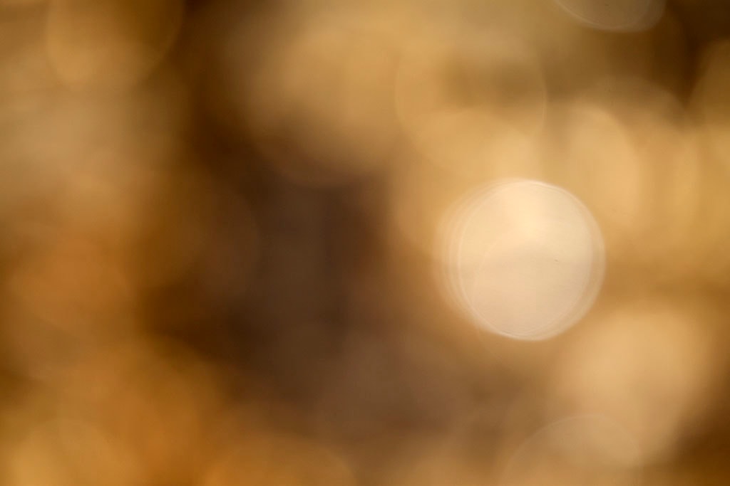 Cascade Springs & Alpine Loop, UT 2016 — golden bokeh with bright circular highlight right
