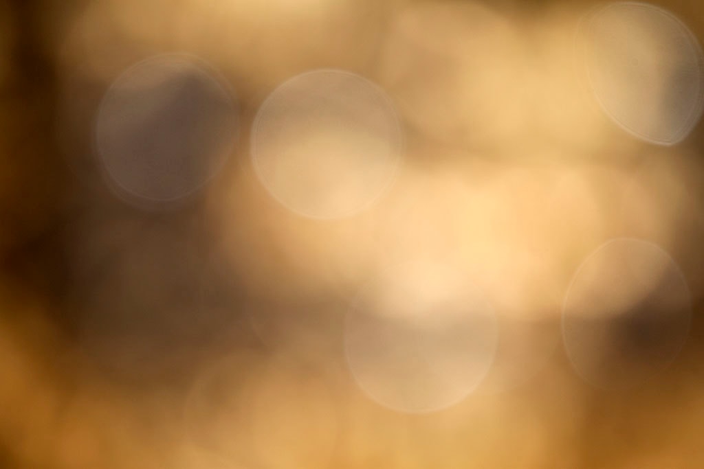 Cascade Springs & Alpine Loop, UT 2016 — warm gold bokeh with multiple soft orbs across frame