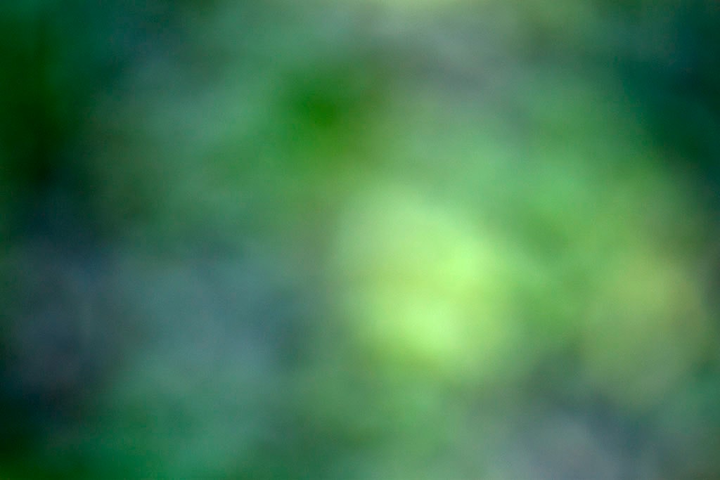 Cascade Springs & Alpine Loop, UT 2016 — green and grey abstract with bright yellow-green orb right