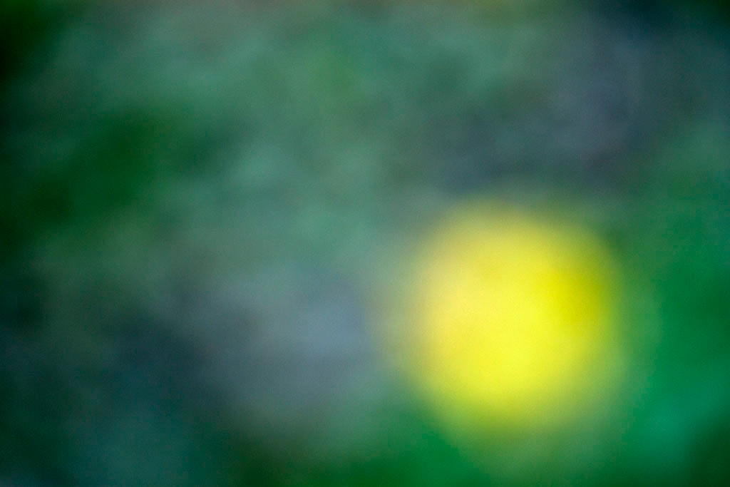 Cascade Springs & Alpine Loop, UT 2016 — green and grey abstract with vivid yellow orb right of center