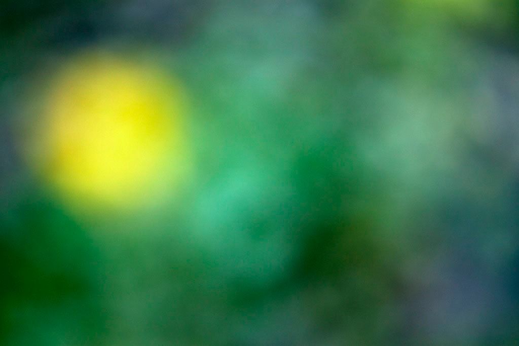 Cascade Springs & Alpine Loop, UT 2016 — green and grey abstract with vivid yellow orb left of center