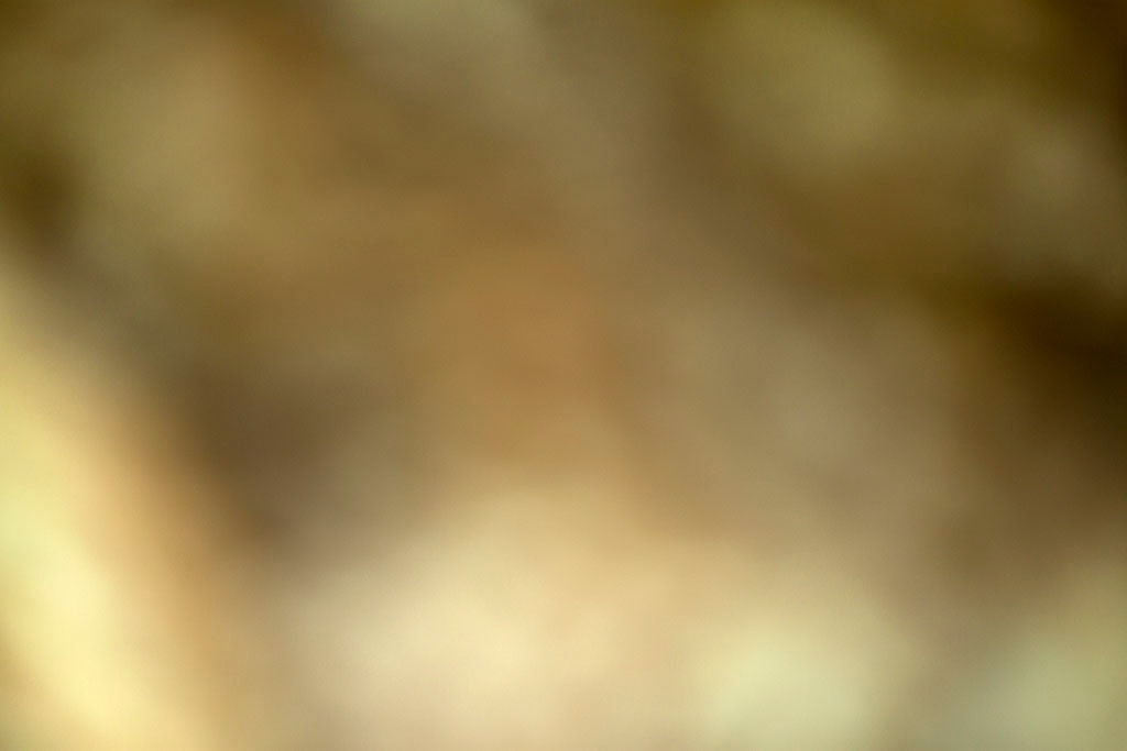 Cascade Springs & Alpine Loop, UT 2016 — warm olive and cream abstract with soft white glow lower center
