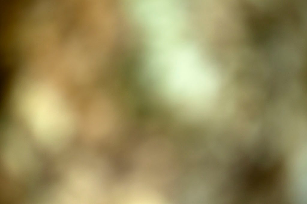 Cascade Springs & Alpine Loop, UT 2016 — warm olive and cream bokeh abstract with pale glow upper center and dark lower right