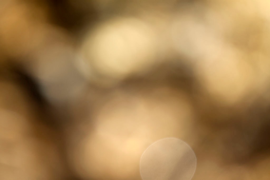 Cascade Springs & Alpine Loop, UT 2016 — golden bokeh with flowing wave of light orbs