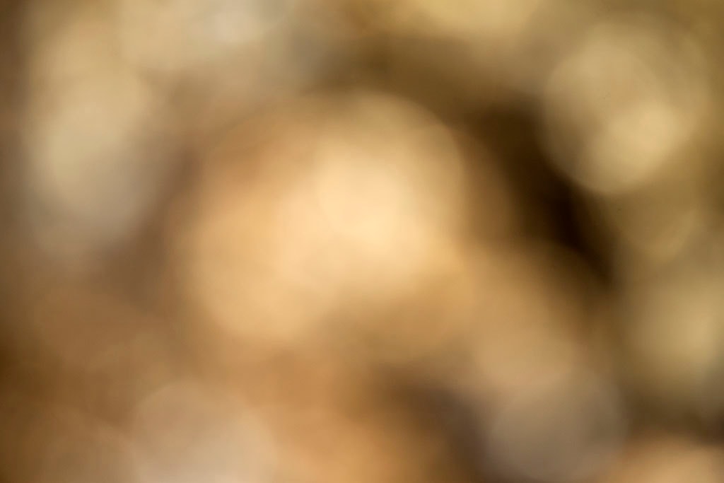 Cascade Springs & Alpine Loop, UT 2016 — warm golden bokeh with large clustered orbs