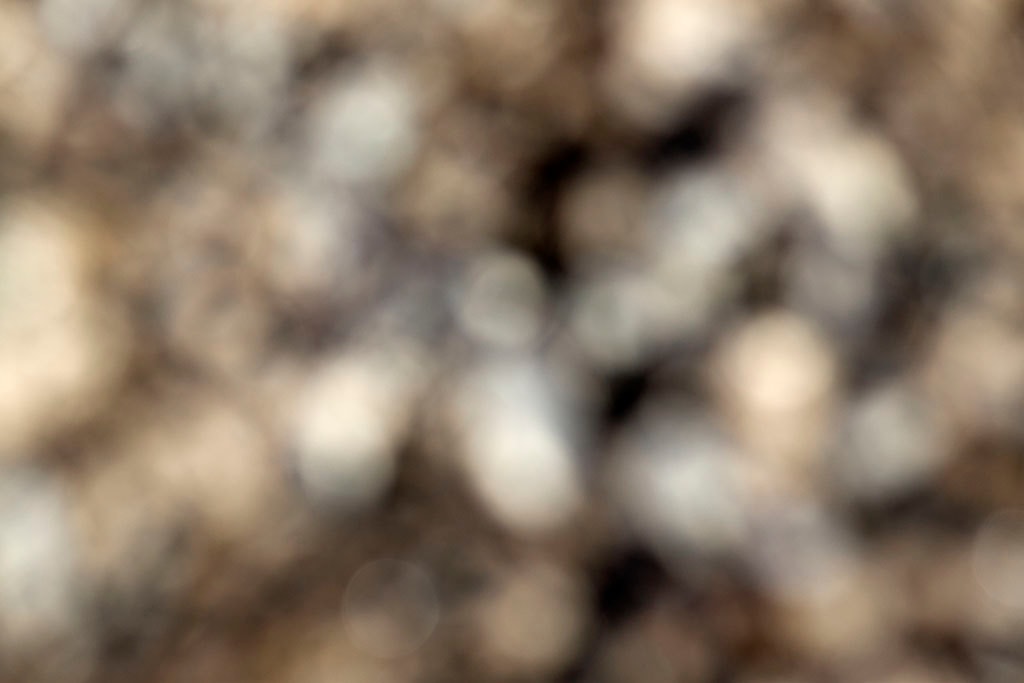 Depoe Bay, OR 2017 — blurred coastal pebbles with cool grey and cream tones