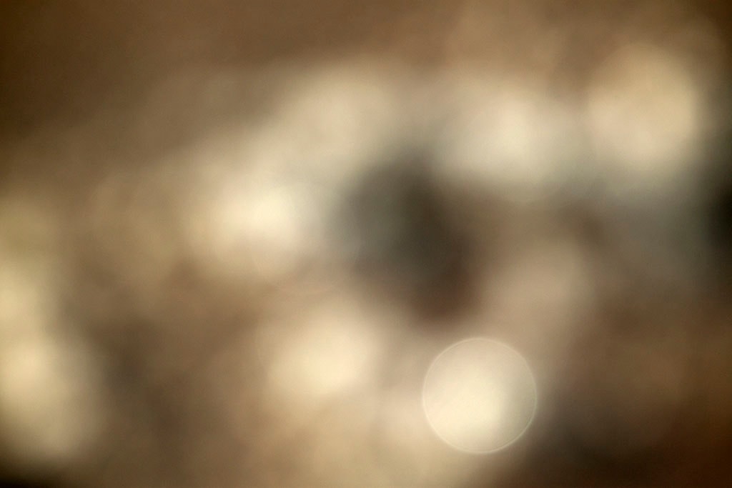 Depoe Bay, OR 2017 — warm sepia bokeh, soft large orbs on dark golden-brown background