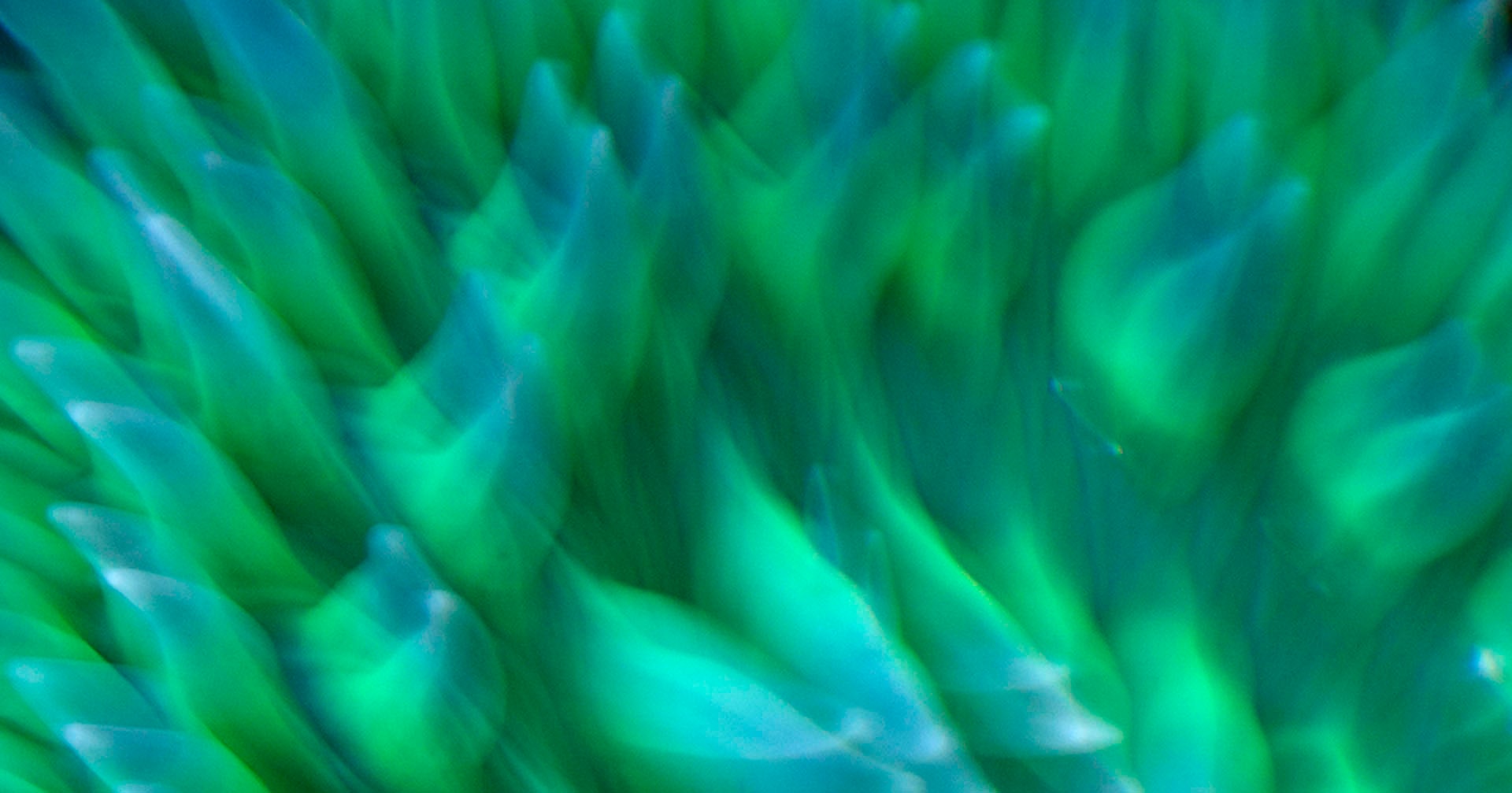 Depoe Bay, OR 2017 — vivid green and teal abstract motion blur, sweeping diagonal forms