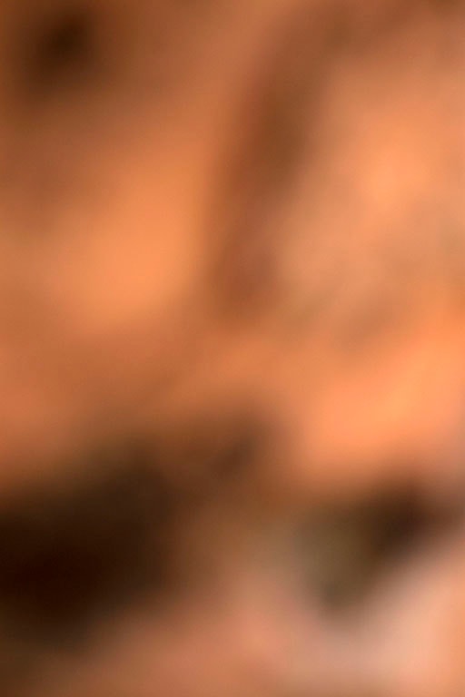 Diamond Fork Canyon, UT 2016 — warm peach and brown abstract with dark shadow forms upper and lower