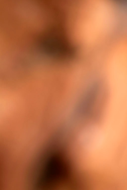 Diamond Fork Canyon, UT 2016 — warm peach and brown abstract with dark shadow forms scattered