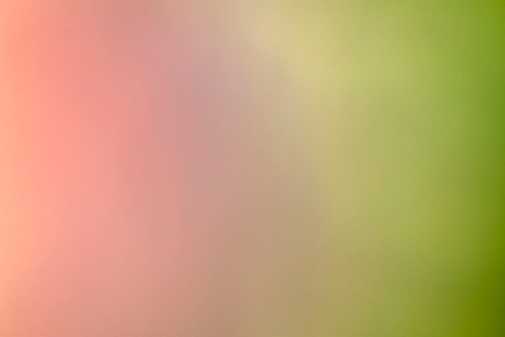 Maui, Hawaii 2018 — coral and olive abstract, warm blush-pink left transitioning through cream center to muted green right