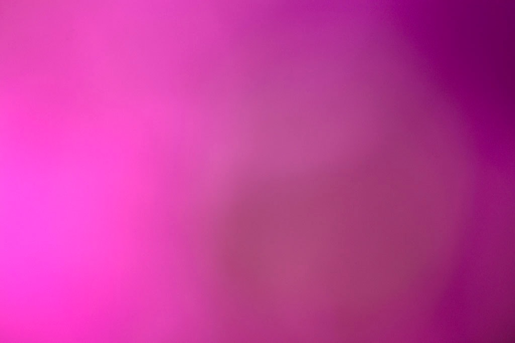 Maui, Hawaii 2018 — vivid magenta abstract, saturated fuchsia left with deep purple-brown void center-right