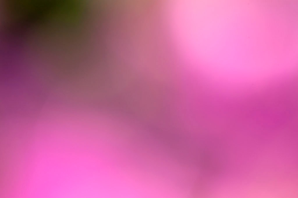 Maui, Hawaii 2018 — pink and olive abstract, dark olive-green upper left with soft magenta-pink lower right and diagonal shadow band
