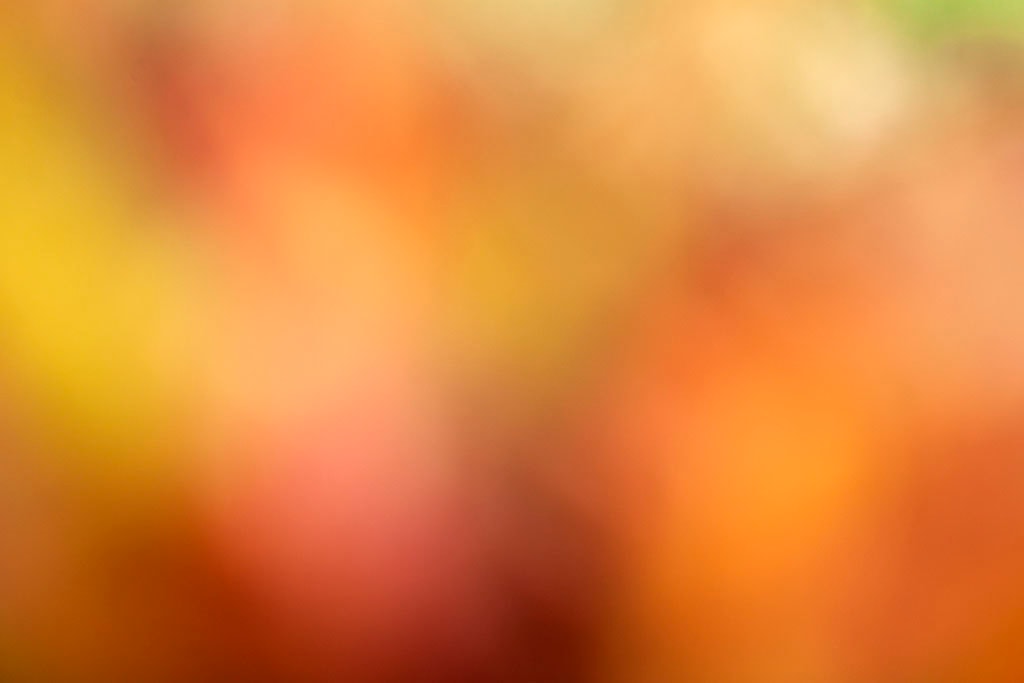 Maui, Hawaii 2018 — warm orange-red abstract, golden yellow left with blurred coral and terracotta forms across warm orange ground
