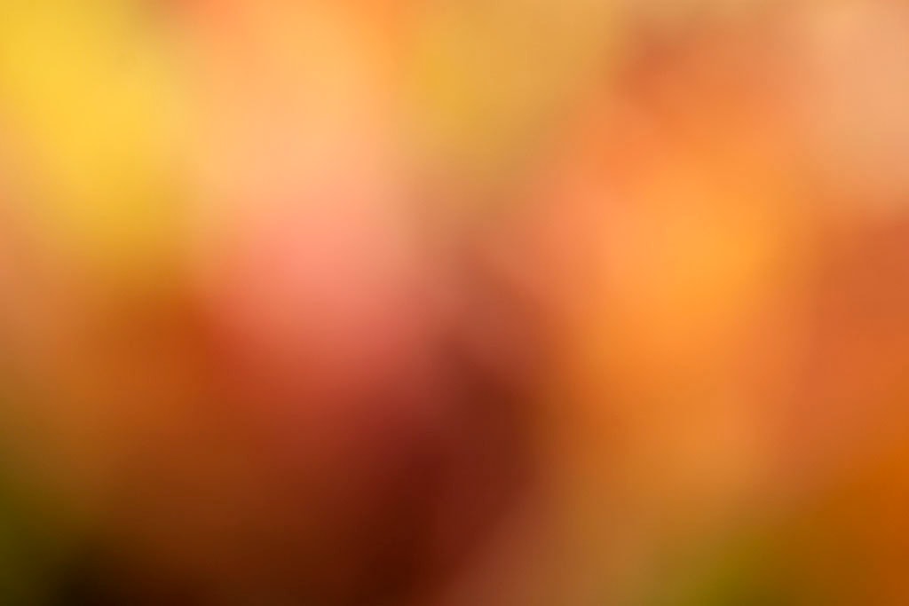 Maui, Hawaii 2018 — warm orange-red abstract, similar to prior with deeper burgundy shadow lower center and brighter yellow-green upper corner