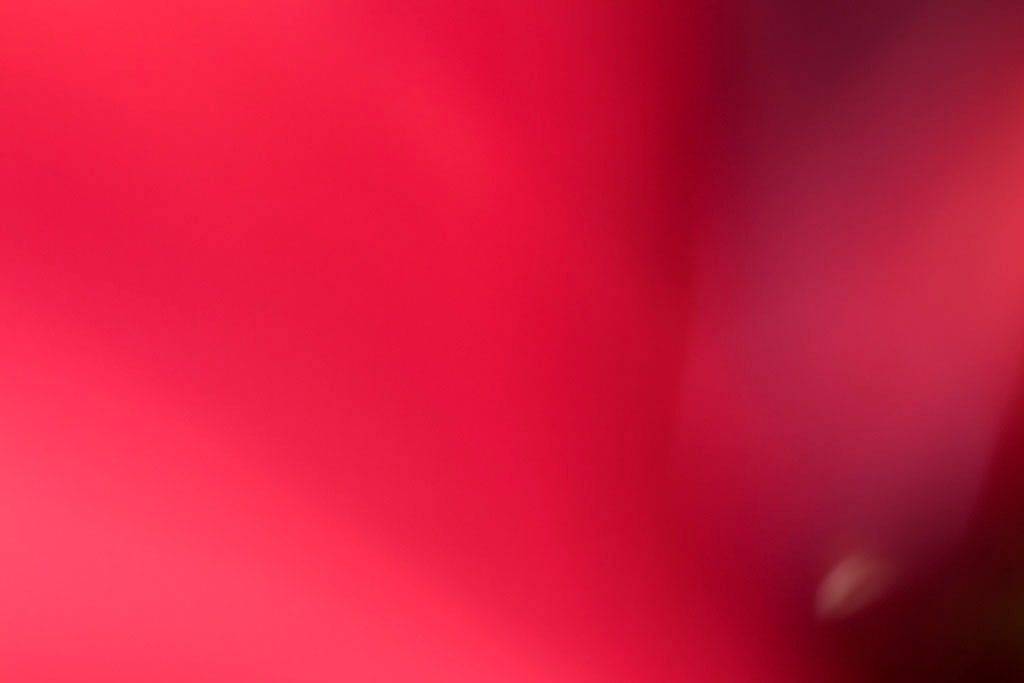 Maui, Hawaii 2018 — vivid pink-red abstract, large dark burgundy void upper right on saturated crimson ground with soft blush lower left