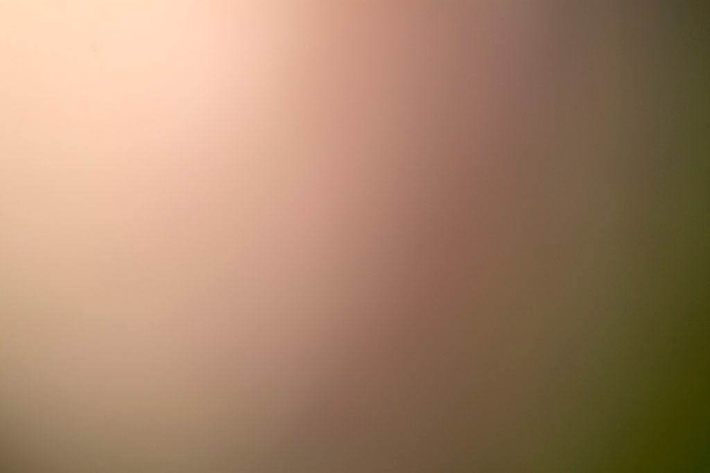 Maui, Hawaii 2018 — soft warm gradient abstract, pale cream and blush left transitioning to muted olive-green right