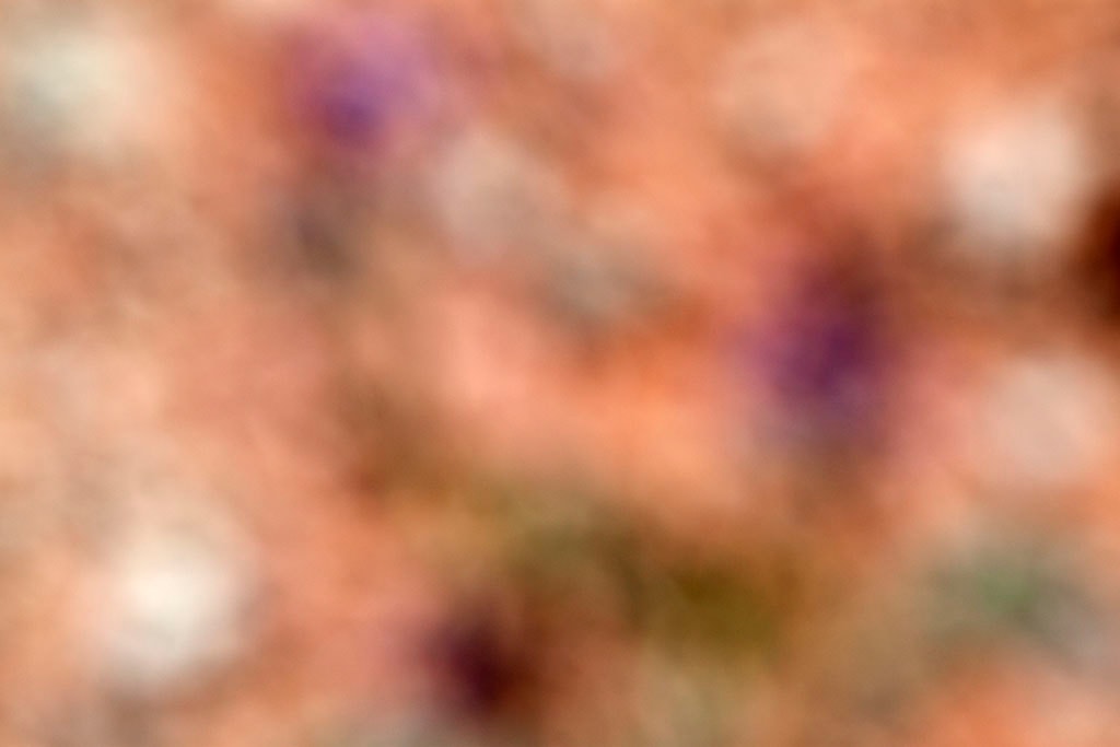 Moab, UT 2016 — abstract light study