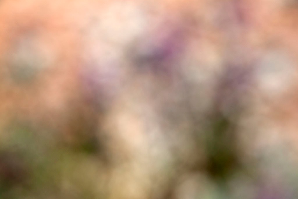 Moab, UT 2016 — abstract light study