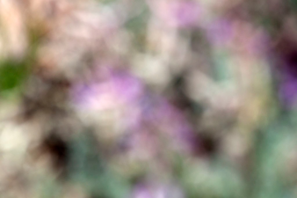 Moab, UT 2016 — abstract light study
