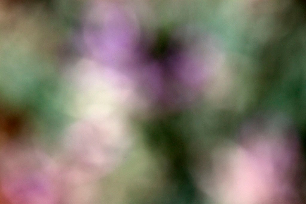 Moab, UT 2016 — abstract light study