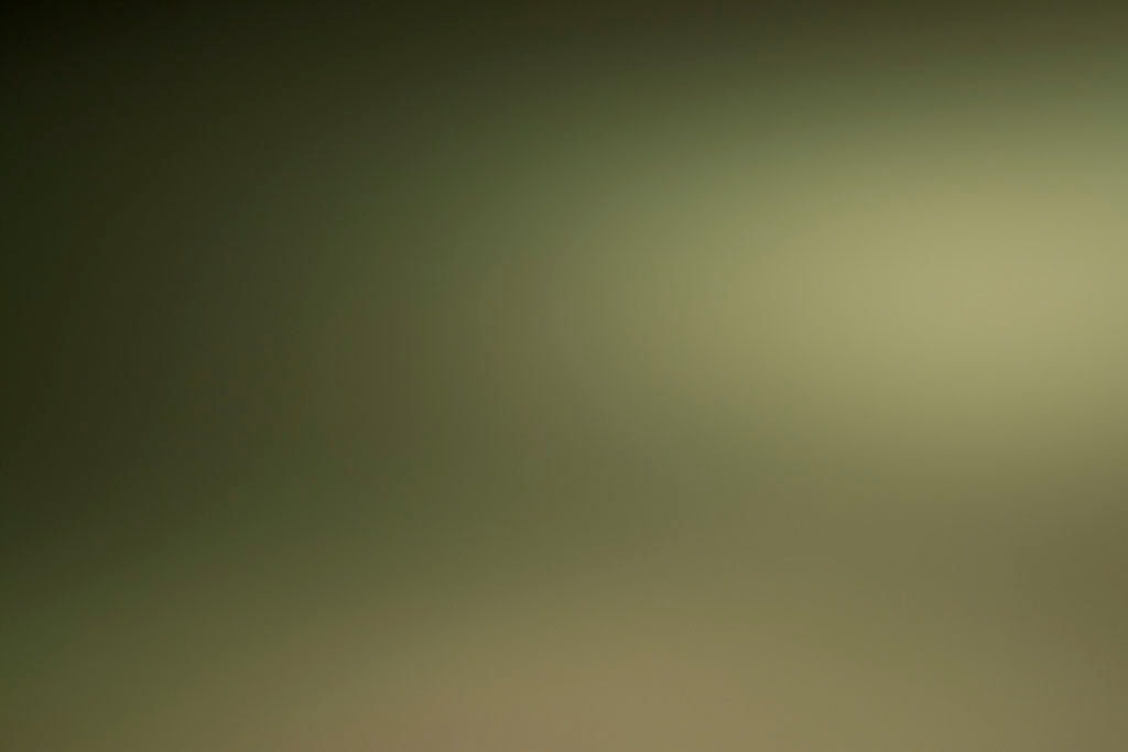 Riverton, UT 2015 — olive khaki glow