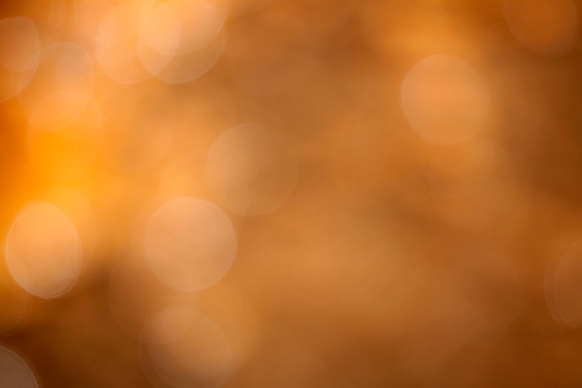 Yellowstone, WY 2016 — warm golden bokeh abstract