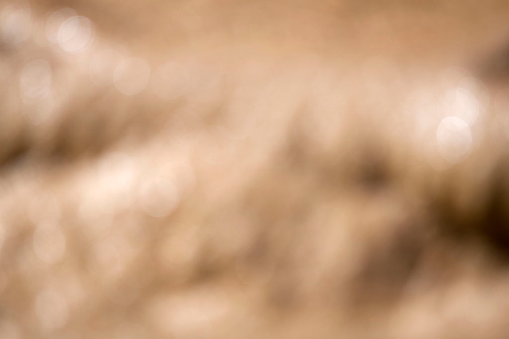 Yellowstone, WY 2016 — warm sandy beige bokeh abstract