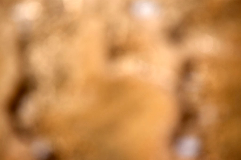 Yellowstone, WY 2016 — golden tan bokeh with warm orbs