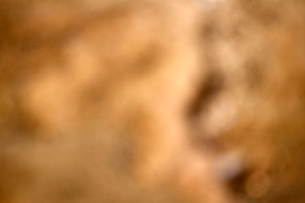 Yellowstone, WY 2016 — warm golden brown bokeh abstract