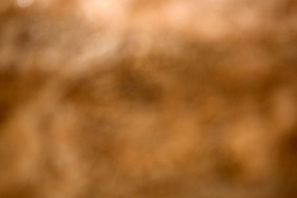 Yellowstone, WY 2016 — soft golden bokeh clusters abstract