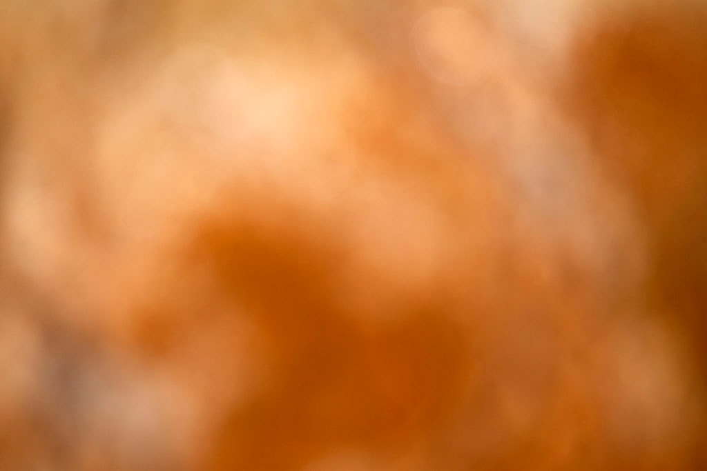 Yellowstone, WY 2016 — warm amber and terracotta bokeh abstract