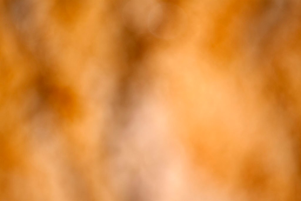 Yellowstone, WY 2016 — warm golden brown bokeh abstract