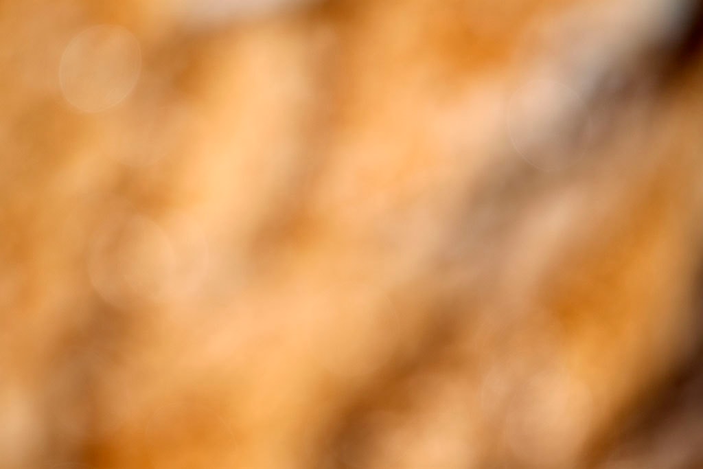 Yellowstone, WY 2016 — warm gold bokeh diagonal abstract
