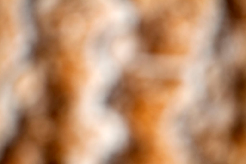 Yellowstone, WY 2016 — golden brown bokeh with white highlights