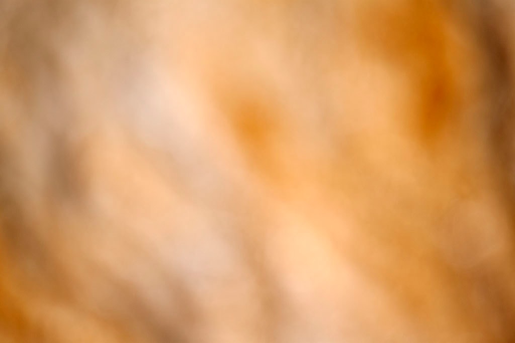 Yellowstone, WY 2016 — soft golden diagonal light abstract