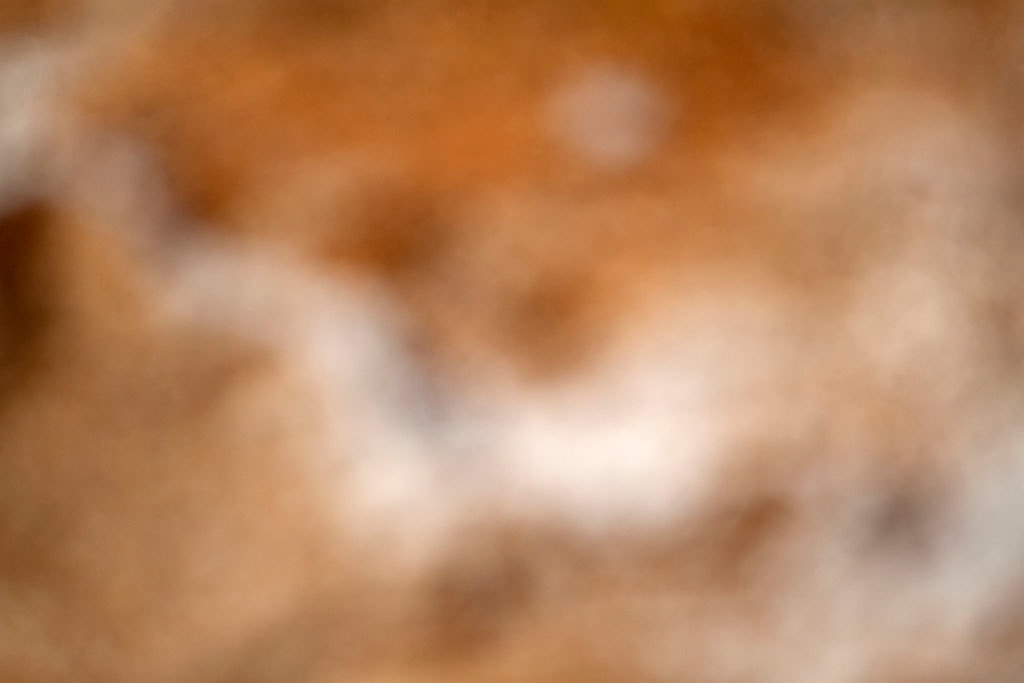 Yellowstone, WY 2016 — rich amber brown bokeh abstract