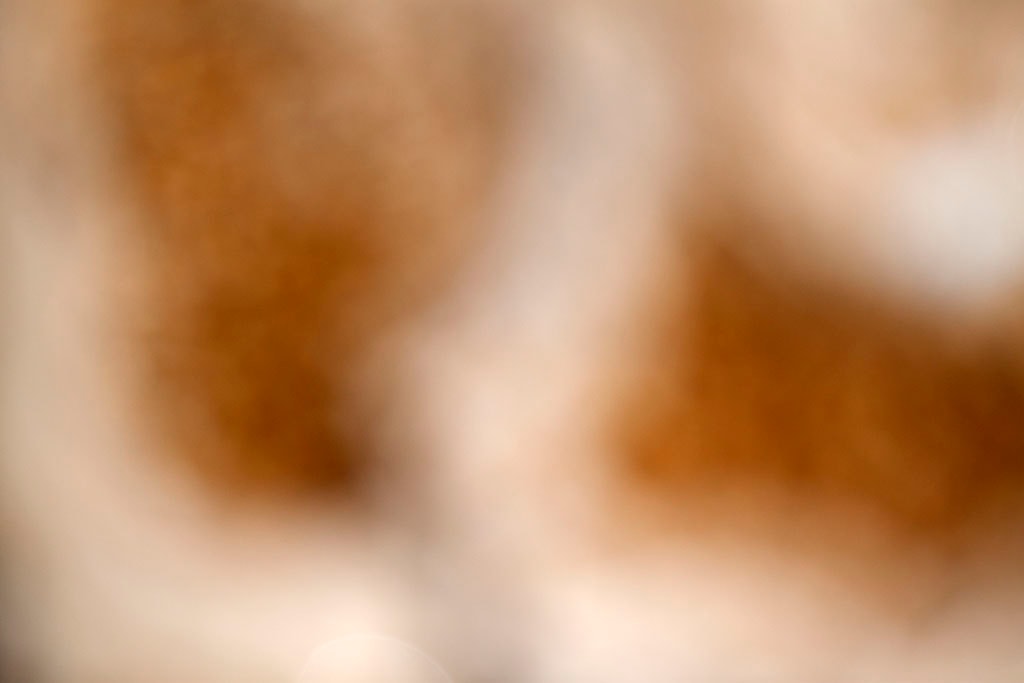 Yellowstone, WY 2016 — warm cream and brown blurred abstract